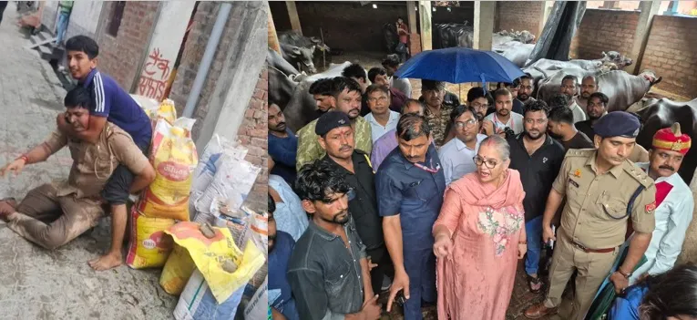 दारोगा की पिटाई का वीडियो वायरल,टीम के साथ पहुंची महापौर ने पकड़वाई 197 भैंसे 