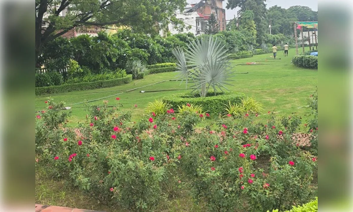 park
