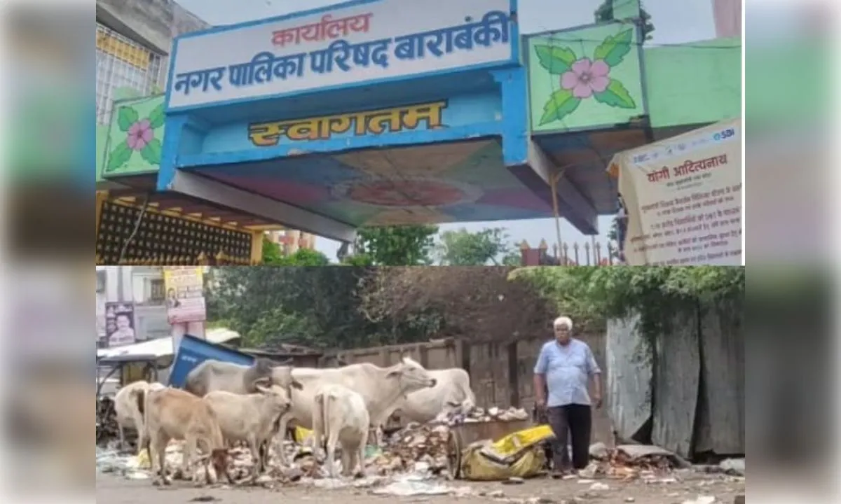 नगर पालिका की लापरवाही उजागर: कूड़ा उठाकर सड़कों पर डाल रहे वाहन