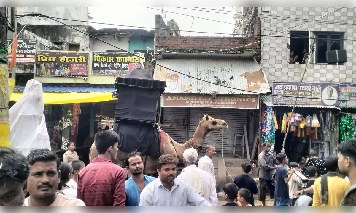 अलविदा या हुसैन की सदाओं के बीच निकाला गया जुलूसे अमारी