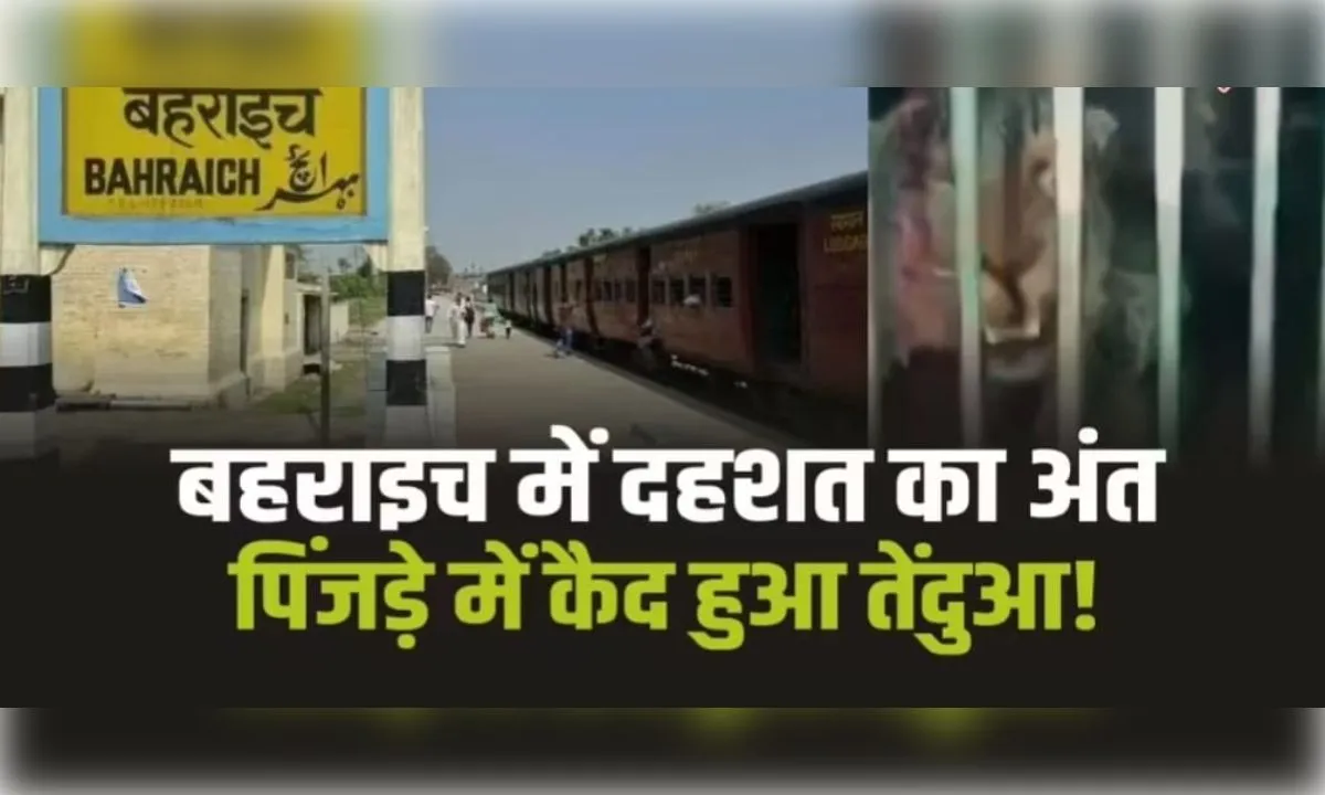 आखिरकार पिंजड़े में कैद हुआ दहशत का पर्याय बना तेंदुआ