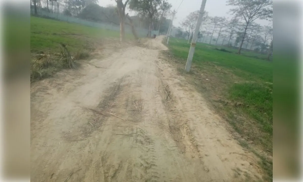 मुआवजे के विवाद में उलझी सड़क, विकास की राह में बाधा: अंकित कुमारी