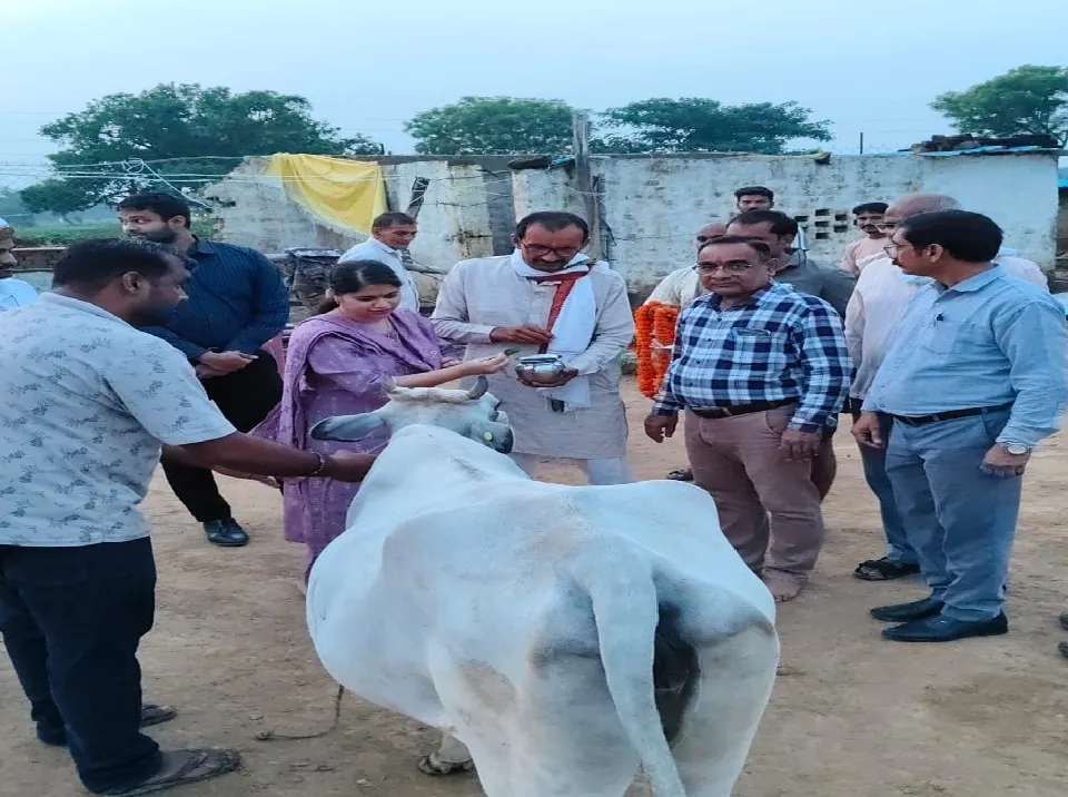 गौशालाओं में हर्षोल्लास से मनाई गई श्रीकृष्ण जन्माष्टमी, डीएम ने किया गो पूजन