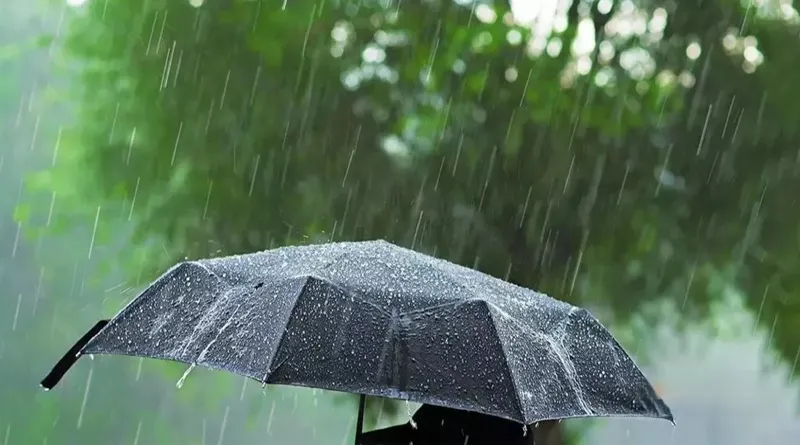 मध्य प्रदेश में बारिश से बिगड़े हालात