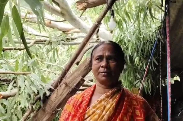 तेज आंधी में विधवा महिला के घर पर गिरा यूकेलिप्टस का पेड़, उजड़ा आशियाना
