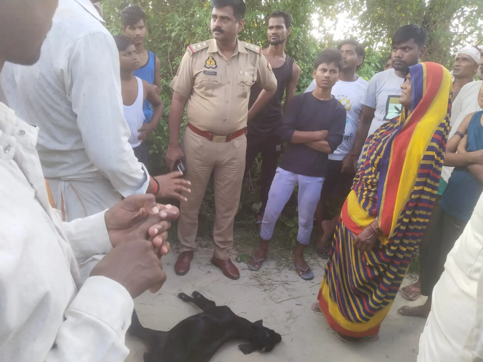 बकरी पर झपटा तेंदुआ,महिला के शोर मचाने पर जंगल की ओर भागा