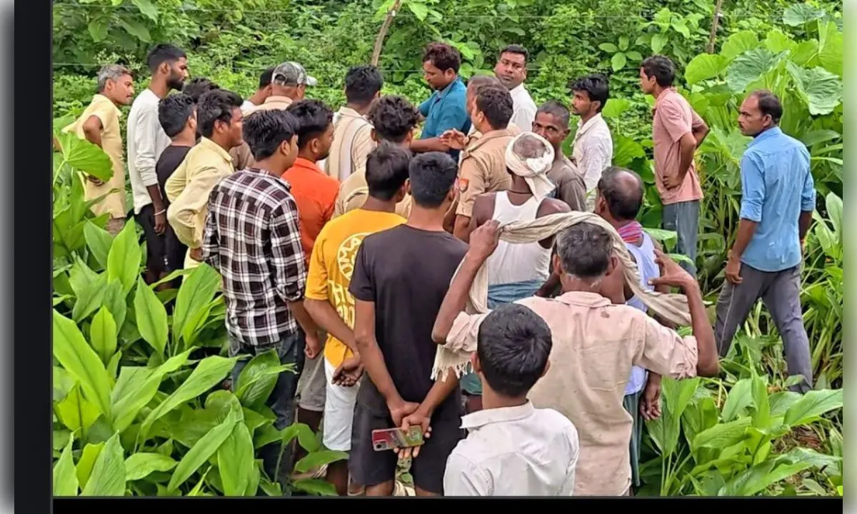 बहराइच में तेंदुए ने मचाई तबाही, वृद्ध महिला को बनाया निवाला