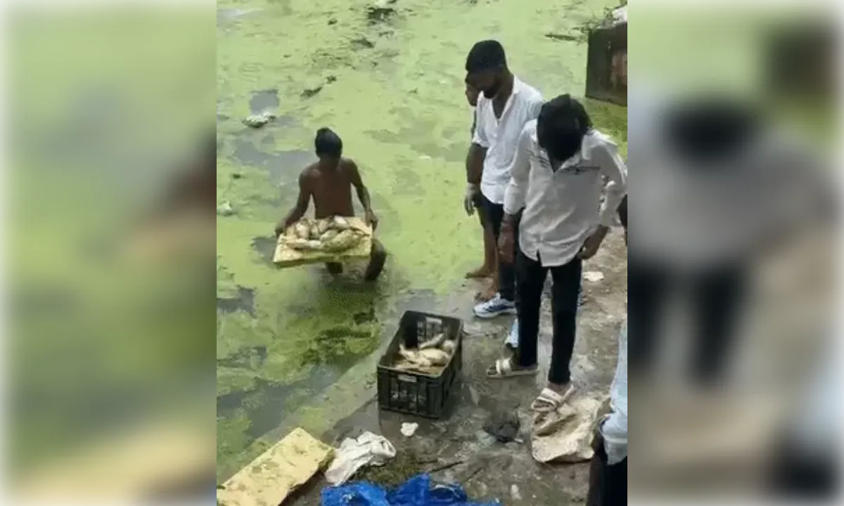 बुद्धेश्वर के सीताकुंड में दूषित पानी से फिर हजारों मछलियां मरीं