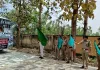 चुनाव ड्युटी में लगे होमगार्ड जवानों को एसपी ने हरी झंडी दिखाकर किया रवाना 