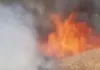 झबरेडी कला के जंगल में गेहूं के खेतों में लगी भीषण आग, लाखों का नुकसान