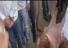 गिरफ्तारी देने को सपा विधायक अमिताभ ने शुरू की दंडवत यात्रा