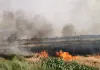 शार्टसर्किट से रहीमाबाद कृषि फार्म में लगी आग