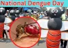 नेशनल डेंगू दिवस: 'सुरक्षित कल के लिए हमारी जिम्मेदारी