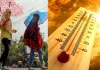 नौतपा से पहले ही तपने लगा मध्य प्रदेश, आज 42 जिलों में लू का अलर्ट