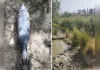 कानपुर में मछली पकड़ रहे युवकों को नोन नदी में मिला मिसाइल जैसा उपकरण, बम निरोधक टीम जांच में जुटी