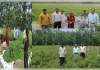 विकसित कृषि संकल्प अभियान-2026 एवं खेत बचाओ अभियान के तहत किसानों को किया जा रहा जागरूक