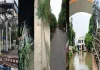  यूपी में आंधी-बारिश का कहर: 7 लोगों की मौत, सैकड़ों खंभे- पेड़ गिरे, कई जिलों में ब्लैकआउट जैसे हालात
