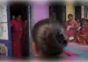 खड़गपुर: भ्रष्टाचार आरोपों पर तृणमूल नेताओं के खिलाफ प्रदर्शन, घरों पर फेंके सड़े अंडे