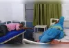 मुहर्रम से पहले बहराइच में बवाल: दो पक्षों में खूनी संघर्ष, लाठी-डंडे और धारदार हथियार चले, 11 घायल