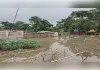 नेपाल में भारी बारिश से उफनाई मेची नदी, सीमावर्ती गांवों पर मंडराया कटाव का खतरा
