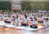 नकली गांधी अब भारत में कामयाब नहीं होंगे : दिनेश प्रताप सिंह
