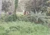 भारत-बांग्लादेश सीमा पर तनाव, लोगों को धकेलने के आरोप से बढ़ा विवाद 