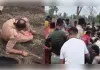 अवैध अतिक्रमण हटाने गई वन विभाग की टीम पर पथराव, वनकर्मियों ने मांगी सुरक्षा