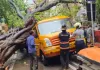 दर्दनाक हादसा: चलती स्कूल बस पर गिरा पेड़ , एक छात्रा की मौत, कई बच्चे घायल