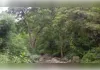 प्रशासन सख्त : भूमि विवादों के निस्तारण को लेकर सख्ती, आईजीआरएस प्रकरणों की होगी पुनः जांच