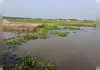 अवैध बालू खनन बना जानलेवा, पानी भरे गड्ढे में डूबकर बच्ची की दर्दनाक मौत