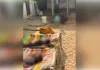 मुरैना: पत्नी और दो मासूम बच्चों की हत्या के बाद युवक ने ट्रेन के आगे कूदकर दी जान