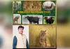 इंद्रावती टाइगर रिजर्व का बारिश के बाद पर्यटकों के लिए खुलना सुखद अनुभव होगा :केदार कश्यप