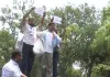 नीट री-एग्जाम के पेपर के लीक की अफवाहों को यनटीए ने किया खारिज, 