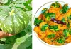 कद्दू की सब्जी कब नहीं खानी चाहिए?
