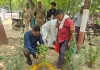 डीएम ने विश्व पर्यावरण दिवस के अवसर पर कलेक्ट्रेट परिसर में किया वृक्षारोपण