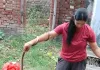 सुबह-सुबह रैट स्नेक के जोड़े का सफल रेस्क्यू, सुरक्षित जंगल में छोड़ा गया।