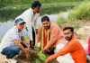 वृक्षारोपण अभियान को मुख्य अतिथि डॉक्टर मिथिलेश त्रिपाठी ने एक वृक्ष लगाकर किया शुभारंभ 
