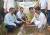 विधायक एवं डीएम एसपी द्वारा फलदार एवं छायादार पौधों का रोपण कर पर्यावरण संरक्षण एवं जन जागरुकता का दिया गया संदेश