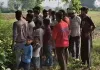 यूरिया लदी ट्रैक्टर ट्राली पलटी, चालक की मौत 