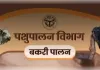 डिप्टी सीवीओ हरिओम पटेल की कार्यशैली चर्चाओं में