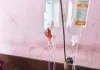 खेत पर चारा लेने गए युवक को जहरीले सांप ने डसा, डॉक्टरों की तत्परता से बची जान