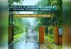 'एक पेड़ मां के नाम' की मुहिम पर सीएम योगी कल कुकरैल में रोपेंगे वृहद हरियाली का बीज