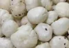 किसानों के लिए वाइट गोल्ड है यह मखाने की फसल