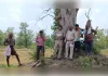 बलौदाबाजार वनमण्डल के अंतर्गत वन भूमि पर अतिक्रमण रोकने को एंटी एनक्रोचमेंट ड्राइव शुरू