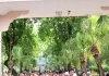योग सप्ताह का हुआ शुभारंभ, स्वस्थ जीवन के लिए योग अपनाने का किया गया आवाहन