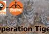 “Maharashtra Operation Tiger” निरुपम का दावा- 2029 तक खत्म हो जाएगा यूबीटी गुट!