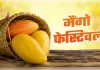 स्वाद और समृद्धि का प्रतीक आम महोत्सव 3 जुलाई से, वैश्विक स्तर पर होगी ब्रांडिंग