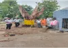 12 वर्ष पुराने पीपल के वृक्ष को मिला नया जीवन, विकास खंड परिसर में किया गया पुनर्स्थापित