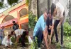  "एक पेड़ माँ के नाम" अभियान के तहत जिला चिकित्सालय परिसर में हुआ वृक्षारोपण