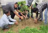 विजय मेमोरियल स्कूल ने रोपा हरियाली का बीज, पौधरोपण कर लिया पर्यावरण संरक्षण का संकल्प